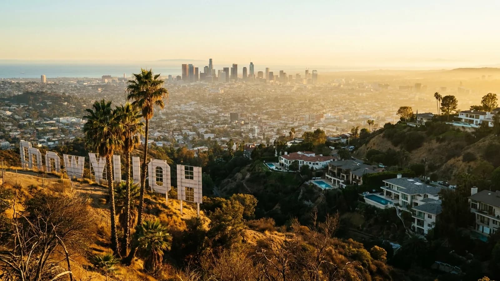 Hollywood